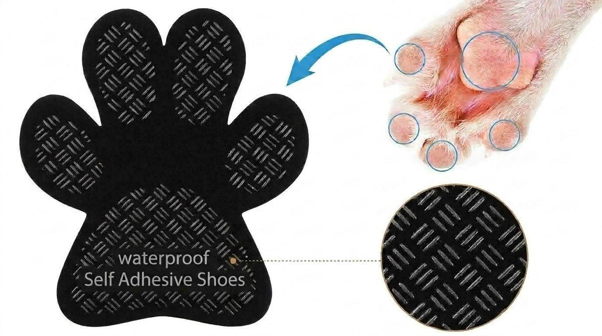 How the pad sits against the paw
